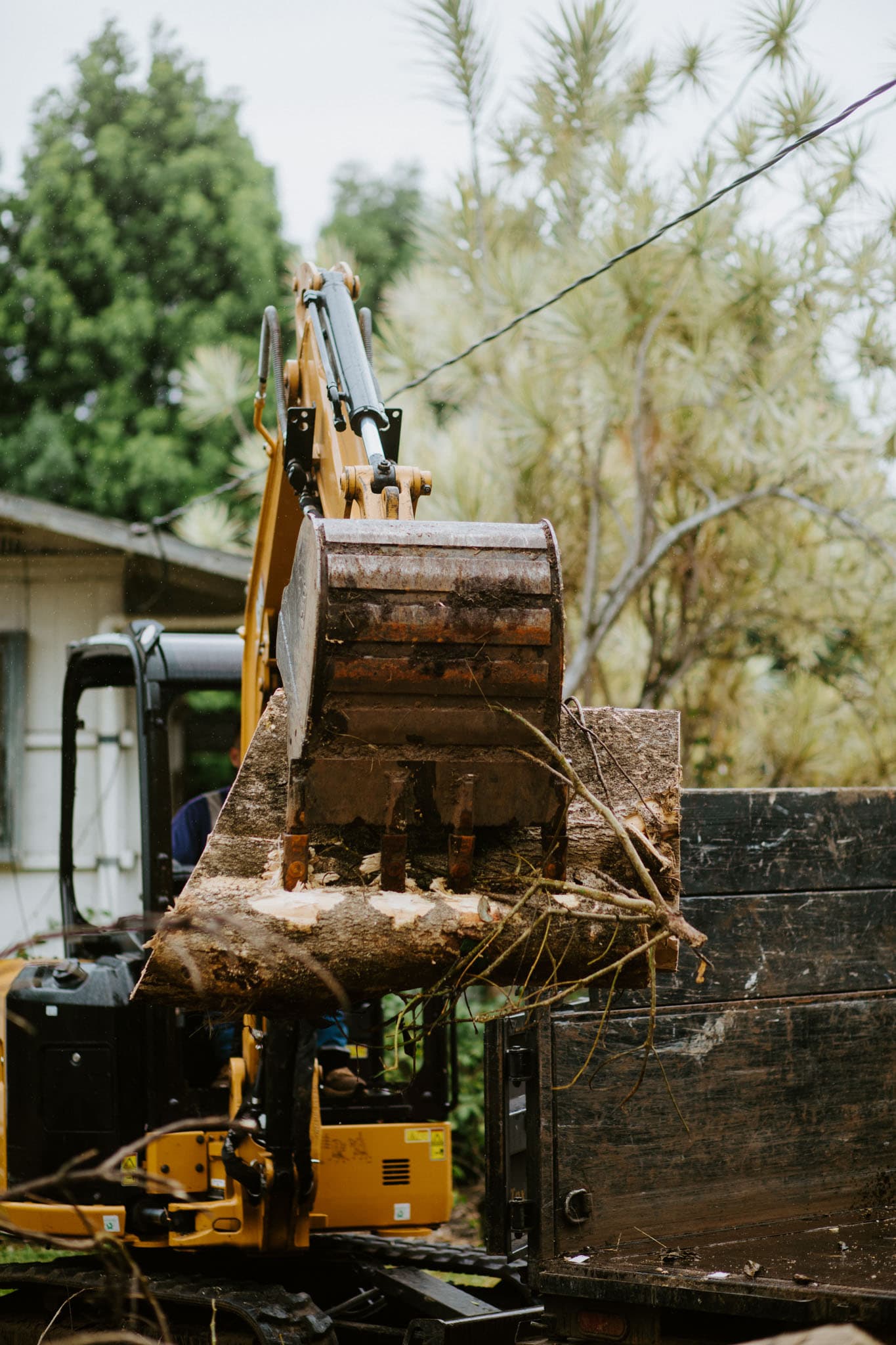 Hawaii Island Waste excavator clearing debris on a Hilo property